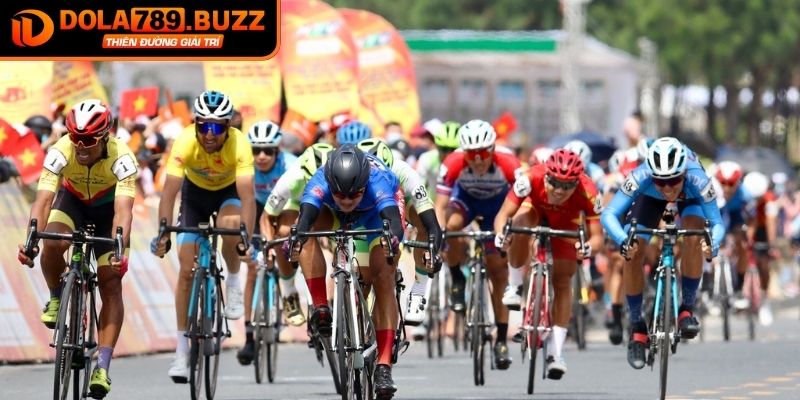 Tổng quan cá cược đua xe đạp
