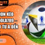 cách chọn kèo bóng đá Dola789