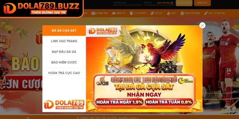 Đăng Ký Dola789 - Hướng Dẫn Cho Người Chơi Mới Bắt Đầu 1 Lý do thành viên nên đăng ký tài khoản Dola789